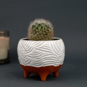 Робота Керамічний білий вазон для рослин