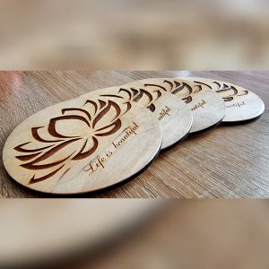 Робота Костери Лотос