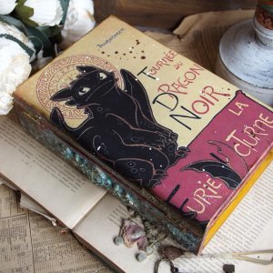 Работа Дракон шкатулка книга