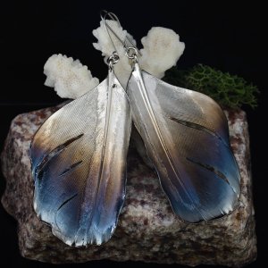 Работа СЕРЕЖКИ КЛАССИЧЕСКИЕ: "ПТИЦА"