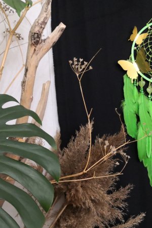 Работа 3D бабочка ловец снов