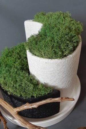 Робота Інь і янь