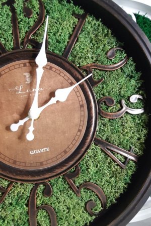 Работа Часы со мхом