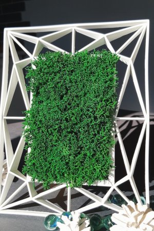 Робота Композиція в рамці