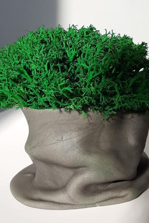 Работа Кашпо со стабилизированным мхом