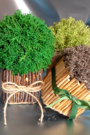 Робота Стабілізований мох в дерев'яному кашпо