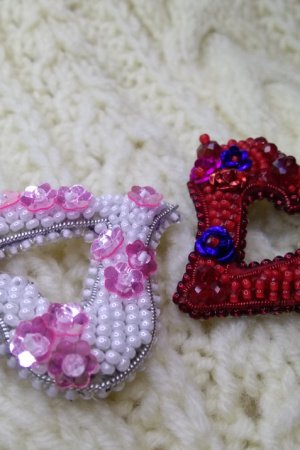 Робота Набір брош '' Ніжне та Палке '' 