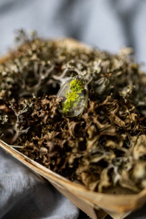 Робота підвіска мох