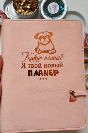 Планеры в год "Мопс"
