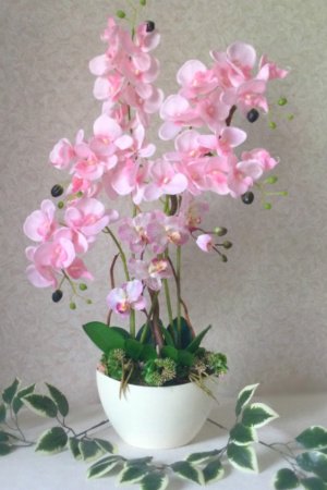 Робота Інтер‘єрна орхідея
