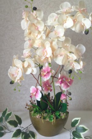 Робота Композиція з орхідеями в кашпо