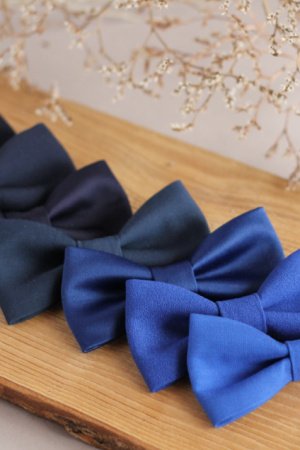 Робота Метелики сині