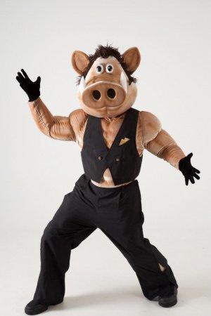 Работа ростовая кукла кабан стриптизер