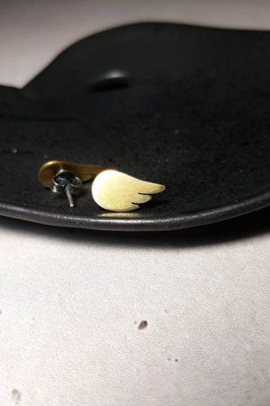 Робота Срібно-латунні сережки крильця