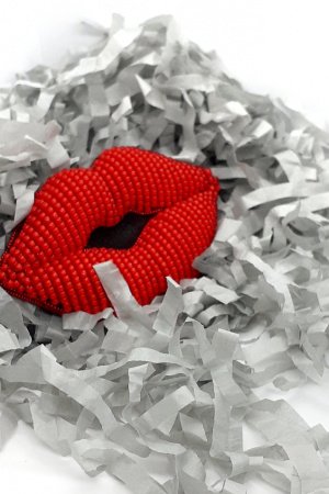 Работа Брошь губки