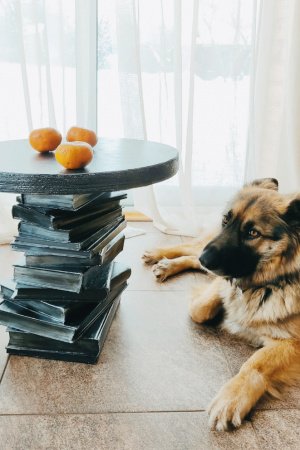 Робота журнальний столик графіт