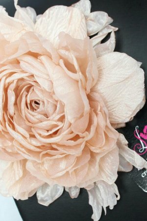 Робота Півонія "Перлина"