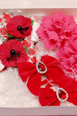 Робота Набір прикрас червоно-кораловий