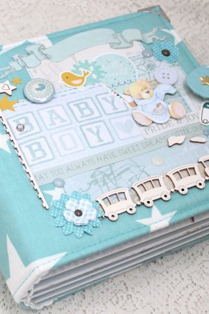 Работа Альбом  для мальчика на первый год жизни