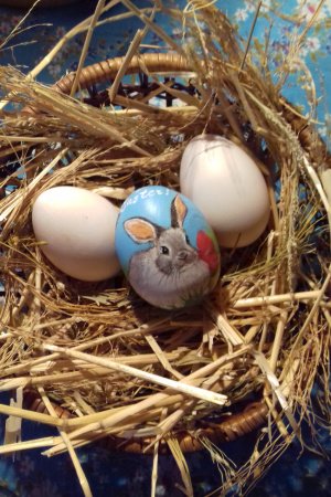 Работа Пасхальное яйцо «Пасхальная кролик».