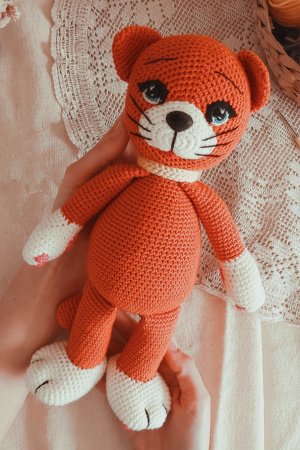 Работа рыжий Котик