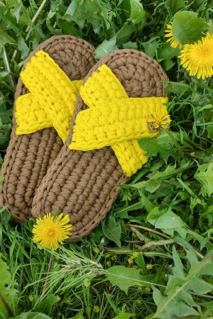 Робота Жіночі домашні капці, кольори Лате та Кульбаба