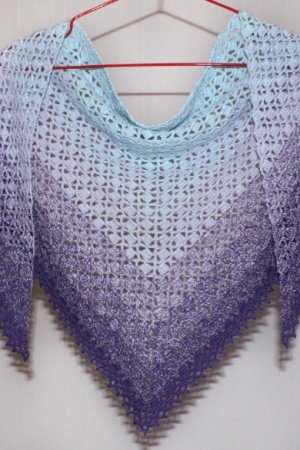 Работа Шаль бактус (N0002)