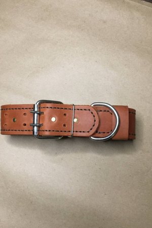 Робота Шкіряний нашийник для тварин