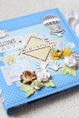 Работа Мамочкин дневник , бебибук для  новорожденного малыша 