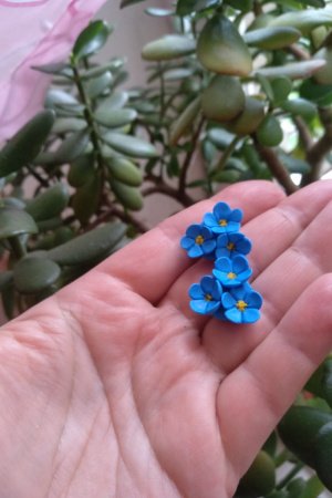 Работа Серьги гвоздики с незабудками