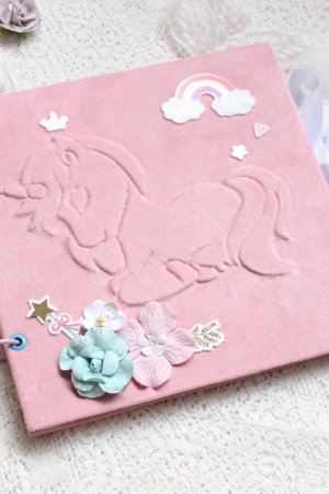 Робота Бебібук для дівчинки На замовлення, Альбом для дівчинки