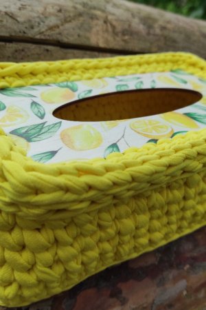 Робота Салфетница