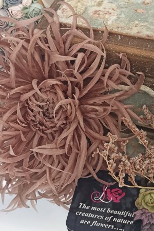 Робота Шовкова хризантема "Комплімент"