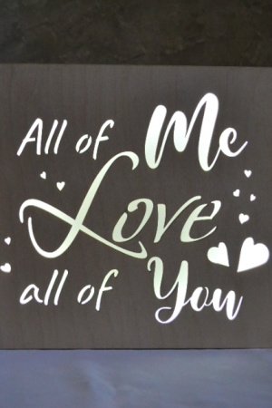 Работа Ночник - Я всех вас люблю