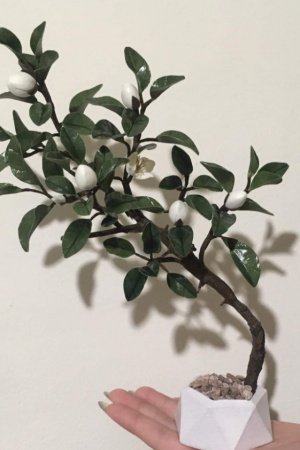 Работа Декоративное мини деревце