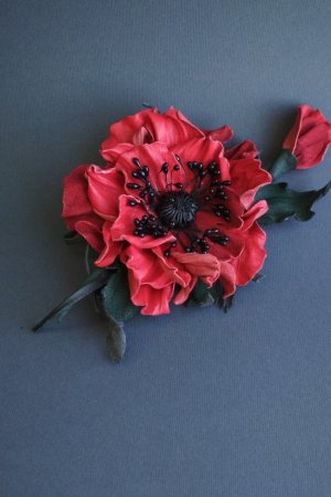 Робота Брошка МАК