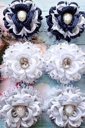 Работа Бантики в школу Камелии