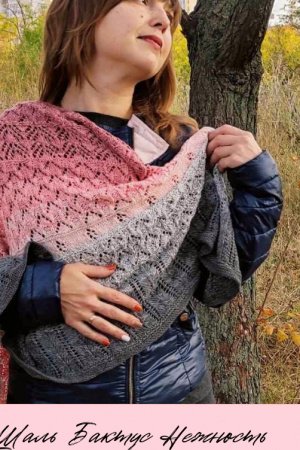 Работа шаль бактус " нежность "