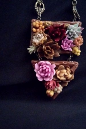 Робота Сукуленти набір