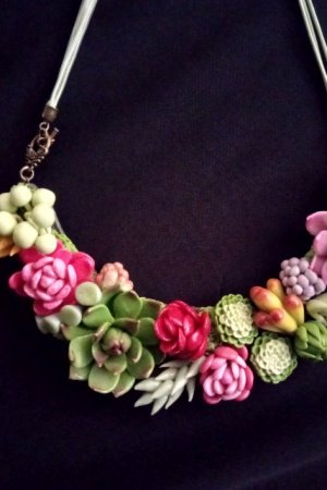 Работа Комплект с суккулентами