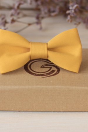 Работа Галстук / бабочка «Янтарный»