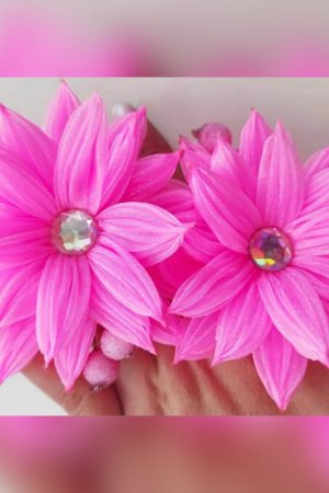 Робота Бантики зефірки