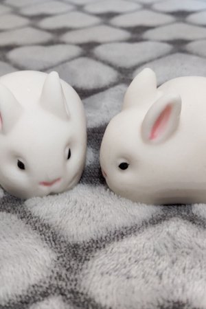 Работа МЫЛО с нуля "зайчик"