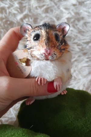 Работа Хомяк авторская игрушка 