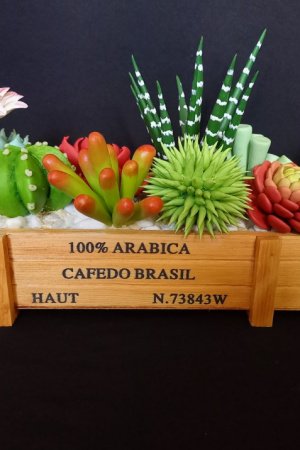 Работа Суккуленты в ящичке.