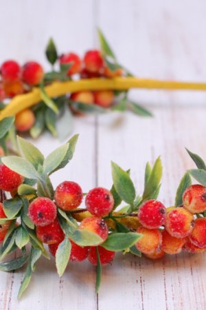 Робота Обруч ободок горобина (горобина)