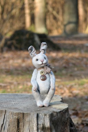 Робота Заєць Грей