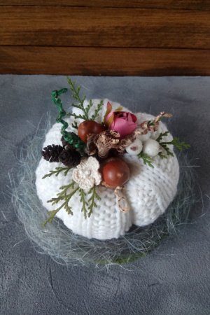 Робота Тиковка, гарбуз