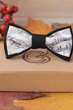 Работа Галстук-бабочка "Ноктюрн Шопена"