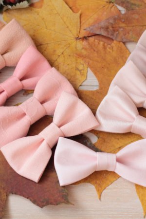 Работа Бабочки пудровые